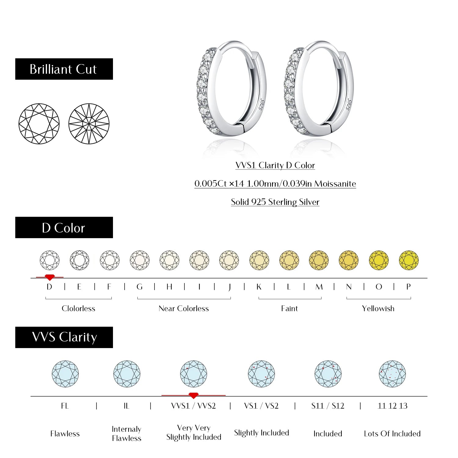 D Color Moissanite Classic Sparkling Circle Hoop Earrings